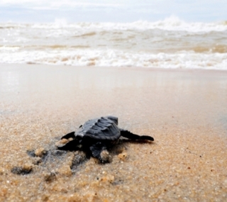 Divulgação/Secom-SJB