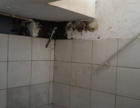 Vigilncia sanitria fecha padaria no Horto