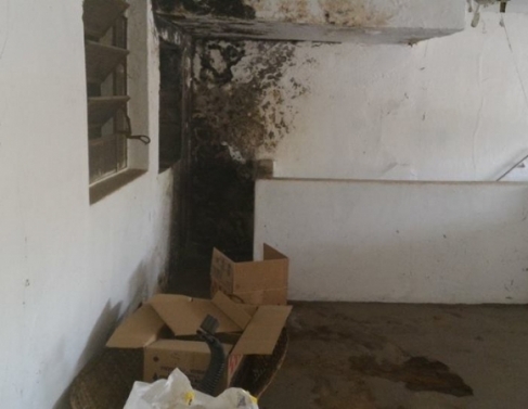 Vigilncia sanitria fecha padaria no Horto