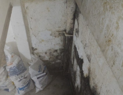 Vigilncia sanitria fecha padaria no Horto