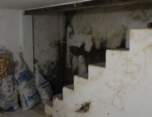 Vigilncia sanitria fecha padaria no Horto