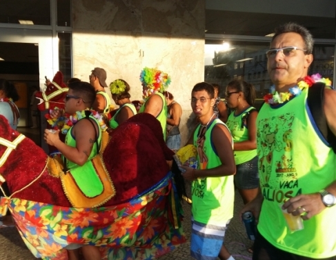 Vaca Valiosa percorreu rea central de Campos