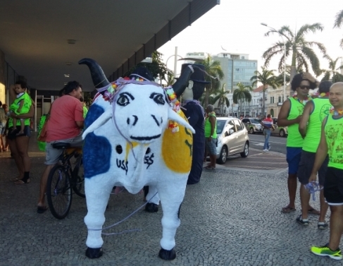 Vaca Valiosa percorreu rea central de Campos