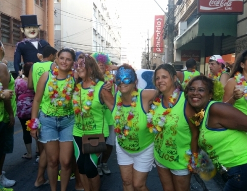 Vaca Valiosa percorreu rea central de Campos