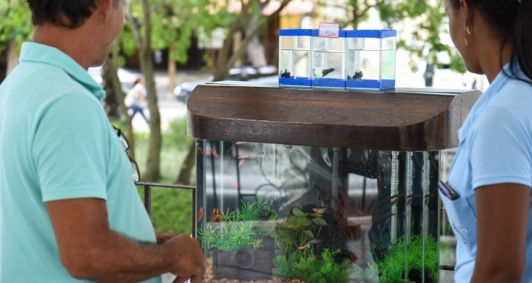 Distribuio de peixes na praa do Liceu