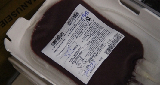Doação de sangue acontece na Faculdade Estácio de Sá