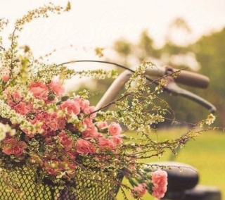 bicicleta com flores