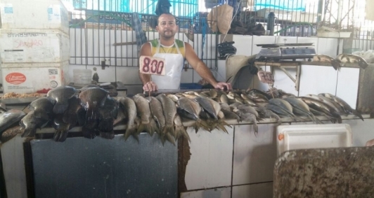 Ministrio Pblico e Vigilncia Sanitria fiscalizaram peixarias  