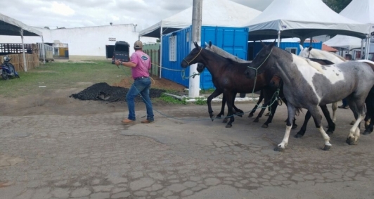 &Uacute;ltimos preparativos para 58&ordf; Expoagro de Campos