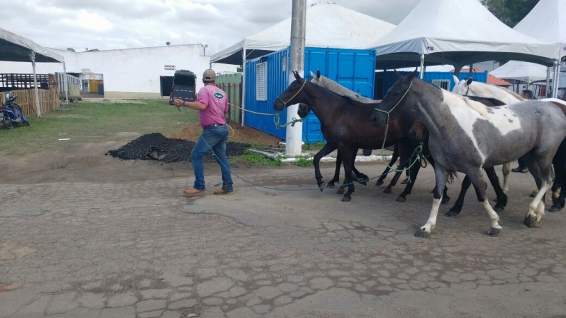 ltimos preparativos para 58 Expoagro de Campos