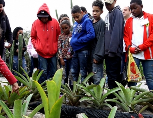 Parque Municipal da Restinga de Macaé