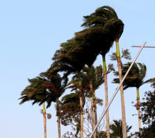 Forte ventania chegou à região