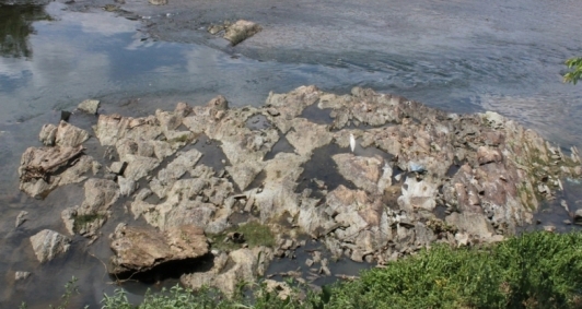 Rio Pomba baixou drasticamente