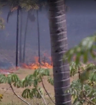 Incndio no Parque Dos Veadeiros em Goas