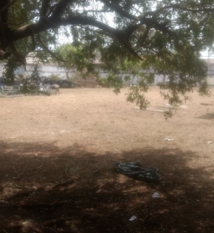 Colgio servir como Degase