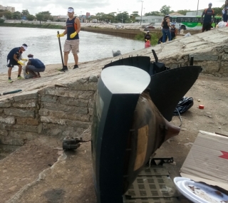 Rio contou com mutirão de limpeza