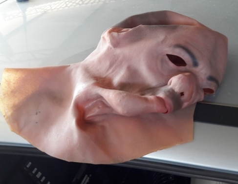 Mscara de borracha foi encontrada