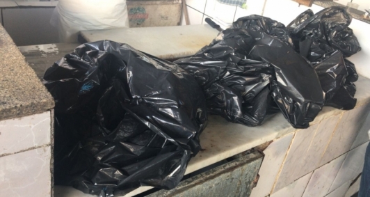 Peixes apreendidos no Mercado