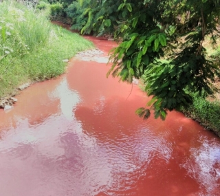 Anglo registrou dois vazamentos em março