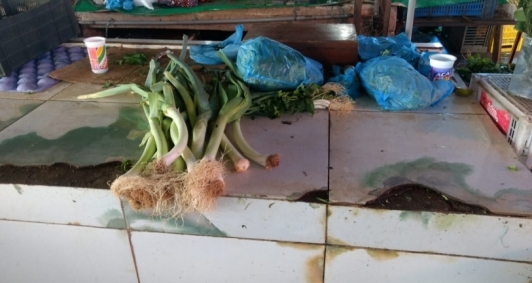 Greve provoca falta de alimentos no Mercado Municipal 