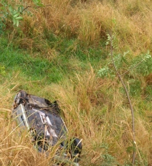 Acidente na RJ 158 (Foto: Divulgao)