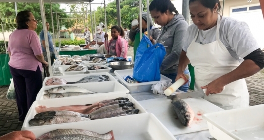 Feira do Peixe no IPS