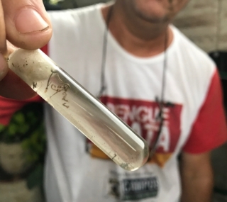 Focos do Aedes aegypti