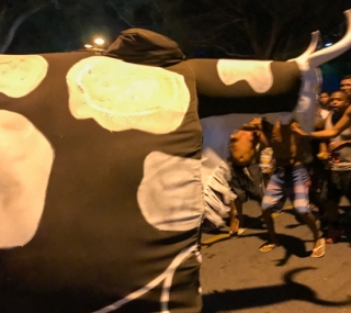 Bloco de rua em Campos