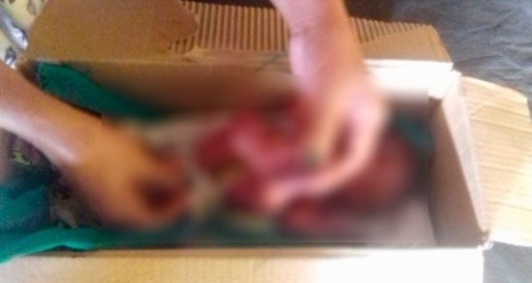 Menina estava em caixa de papelão