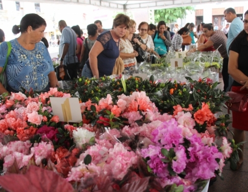Festival de Flores na praa S. Salvador