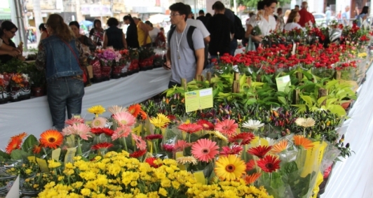 Festival de Flores na praa S. Salvador