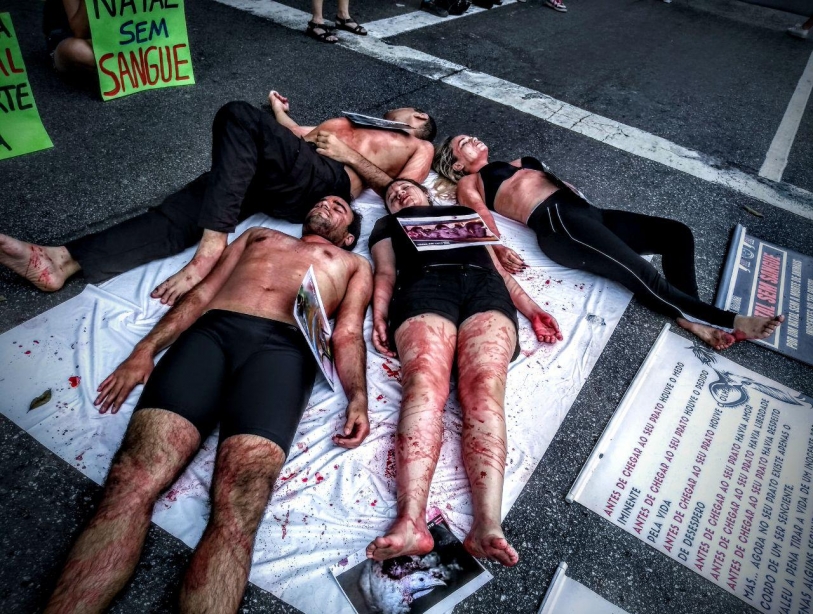 Ato do coletivo antiespecista Vozes em Luto SP (foto: Tha&iacute;s Tostes/M&iacute;dia Ninja)