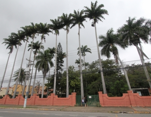 Enquanto o Parque Ecol�gico n�o sai, campistas podem aproveitar Horto Municipal