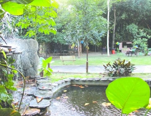 Bosque do Hospital Manoel Cartucho foi fechado no in�cio do ano