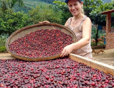 A produção de café no Noroeste Fluminense terá política de incentivo de governo
