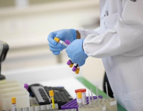 Pesquisa cient�fica