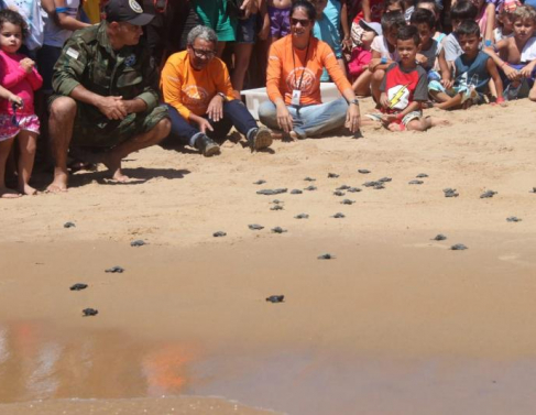 Soltura de tartarugas em Atafona
