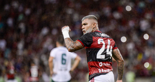 Gabriel Barbosa fez o gol do ttulo rubro-negro; Diego tambm marcou