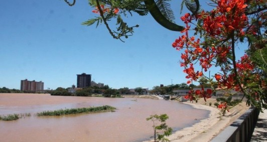 Rio Paraba em Campos comea a baixar (Fotos: Genilson Pessanha)