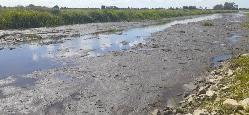 Canal Caxeixa em níveis alarmantes: abastecido com águas provenientes da Lagoa Feia, é responsável pelo fornecimento de água à produtores da Baixada Campista