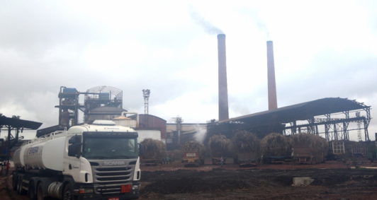 Safra de cana-de-açúcar