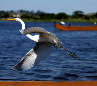 Belezas Lagoa de Cima