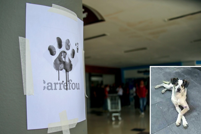  Manifestantes realizam protesto no Carrefour, na Avenida dos Autonomistas, em Osasco (SP), na tarde deste s..bado (8). O protesto acontece ap..s um cachorro ser envenenado e agredido a pauladas por um seguran..a do local. A loja estava fechada neste s..bado. .Credito: Guilherme Rodrigues/Futura Press     