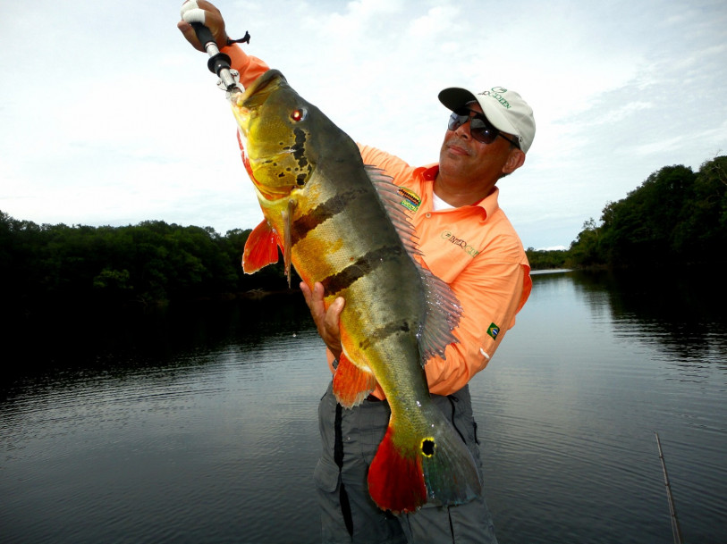 Marcelo Fernandes da Silva durante pesca no Rio Negro, em Manaus 