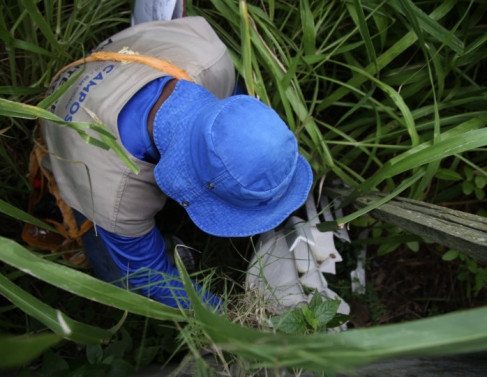 Agente encontra foco do mosquito em casa do IPS