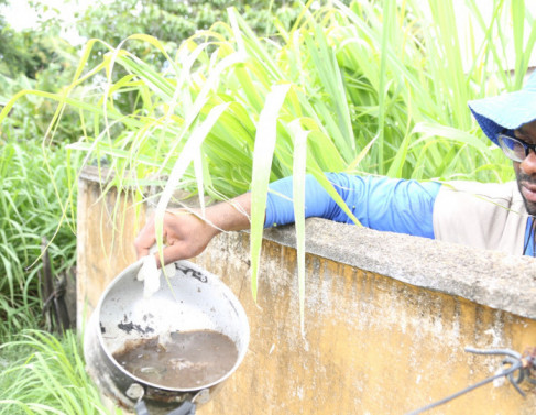Agente encontra foco do mosquito em casa do IPS