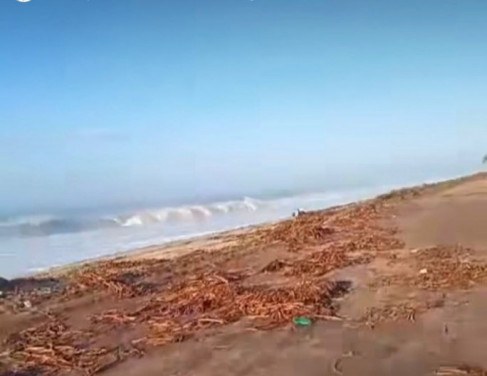 Ondas de mais de quatro metros foram registradas no Farol