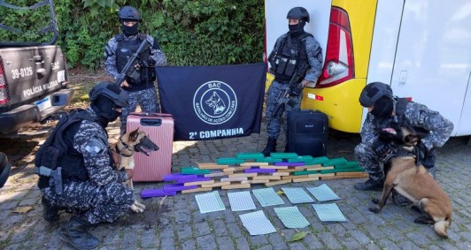 Com a ajuda dos cães Sparta e Bereta, da raça Pastor Belga de Malinois, as drogas foram encontradas no bagageiro - Foto: Divulgação/Bac
