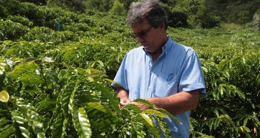 O objetivo do evento é incentivar e apresentar aos agricultores as possibilidades de diversificação de renda no campo - Foto: Divulgação 