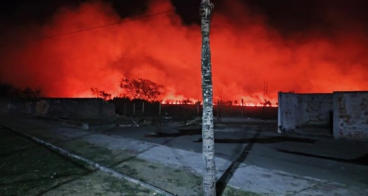 Fogo em vegeta&ccedil;&atilde;o